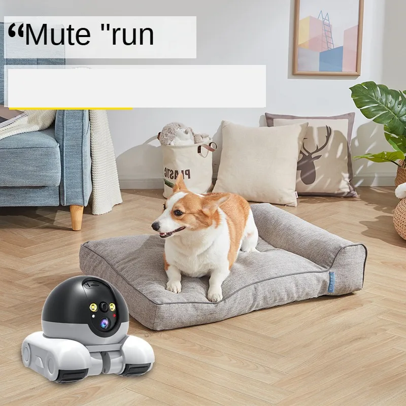 4MP IP Camera 5G WiFi Dual Len - đánh giá và giá Home Security Robot