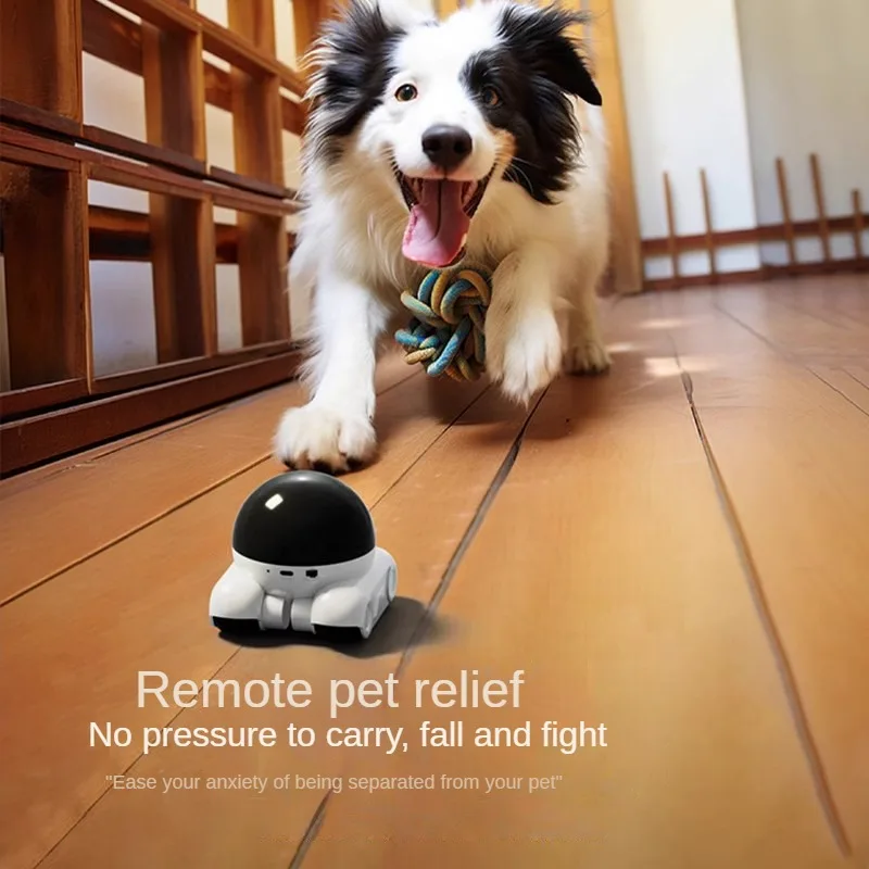 4MP IP Camera 5G WiFi Dual Len - đánh giá và giá Home Security Robot