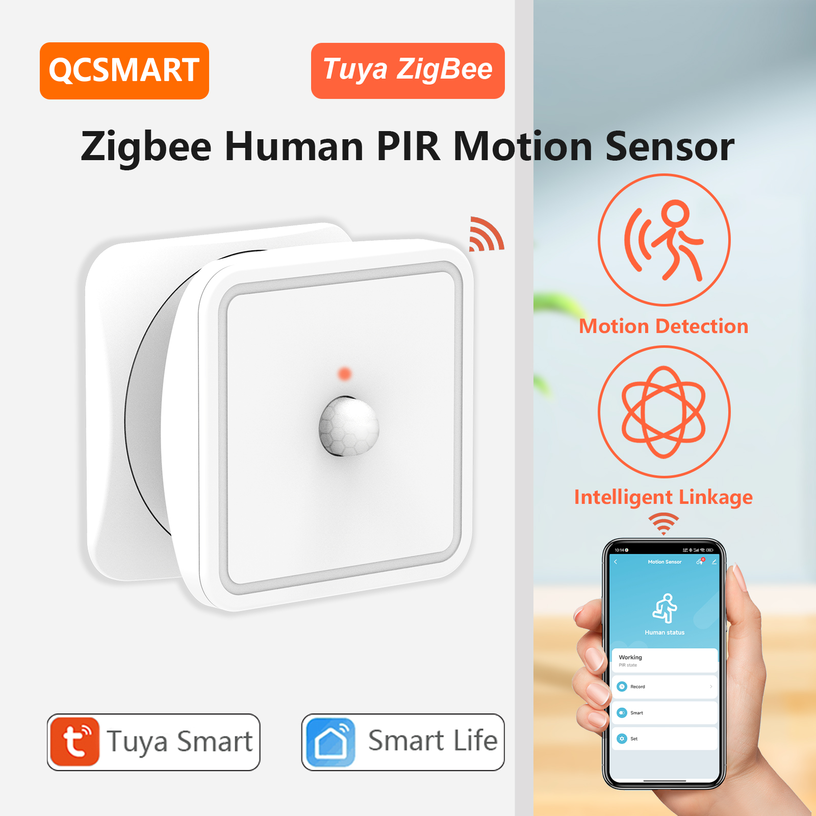 Tuya ZigBee Human Motion Senso - đánh giá và giá Home Security System