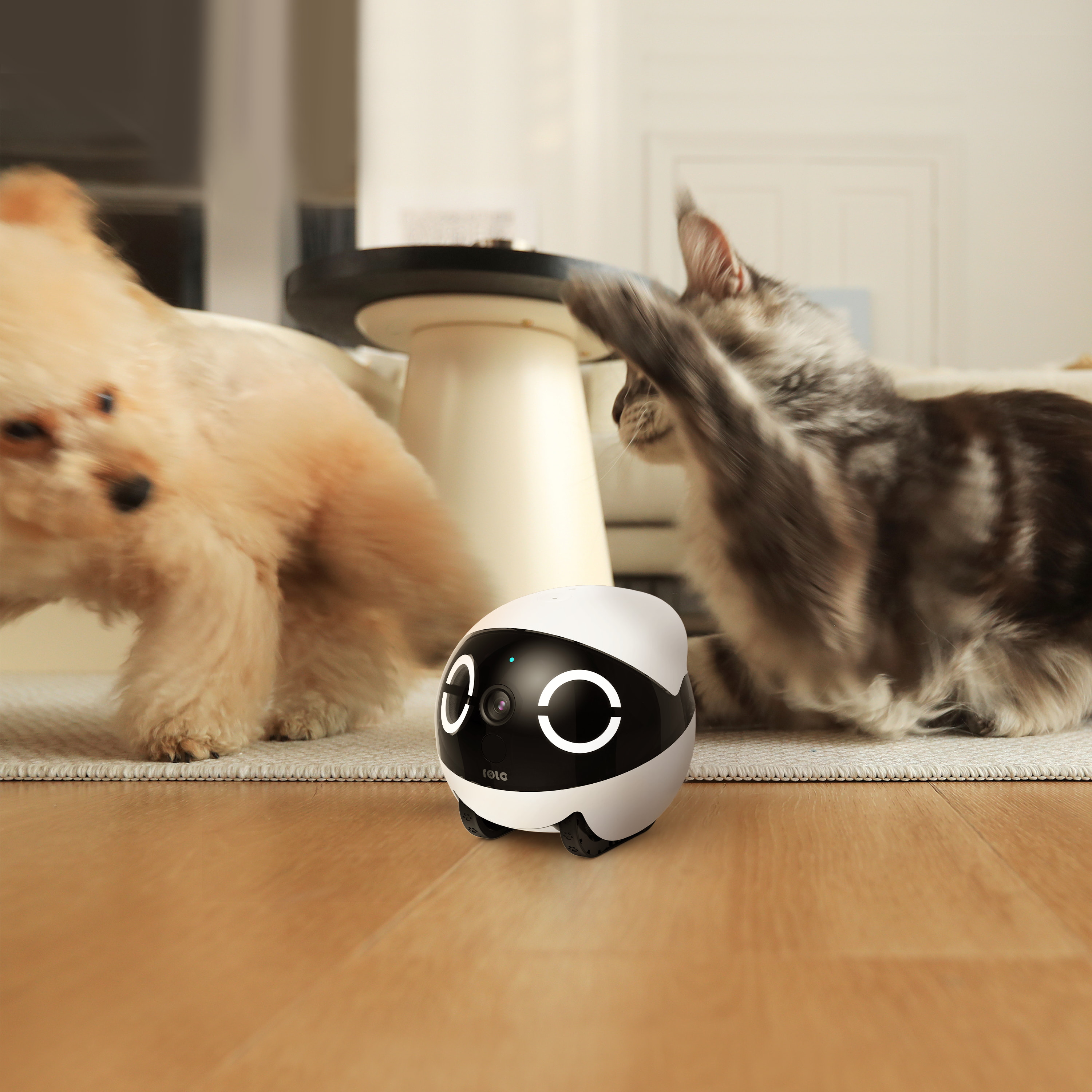 ROLA Mini Significant Other Ro - đánh giá và giá Home Security Robot