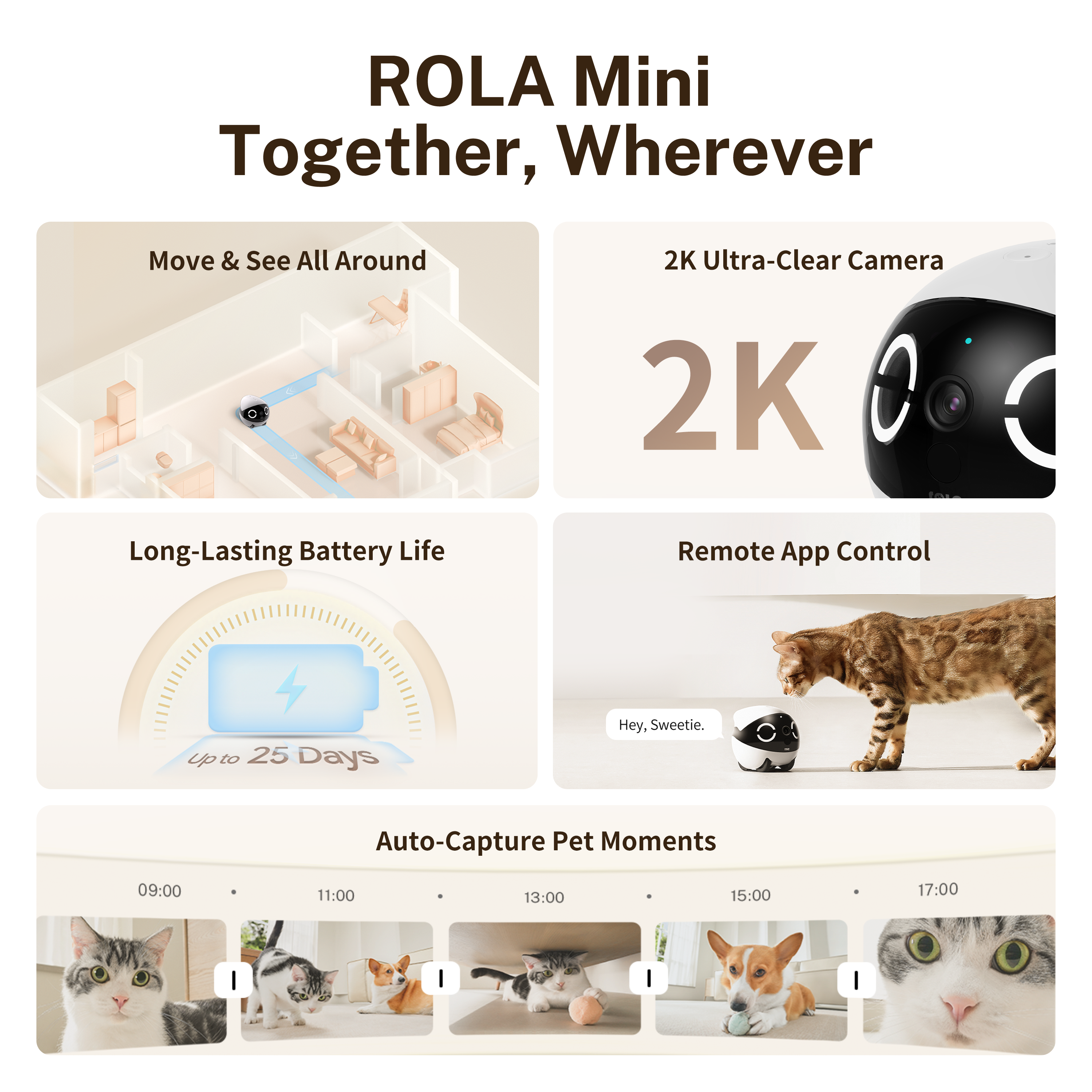 ROLA Mini Significant Other Ro - đánh giá và giá Home Security Robot